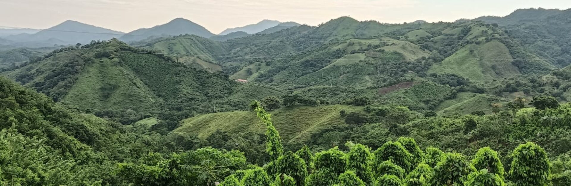 BELLEZA DE LOS MONTES DE MARIA